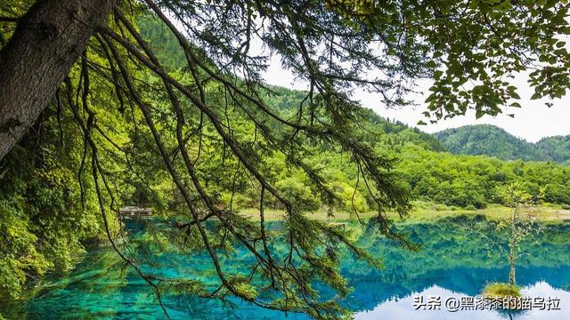 :九寨溝是什么地方？九寨溝在什么地方？