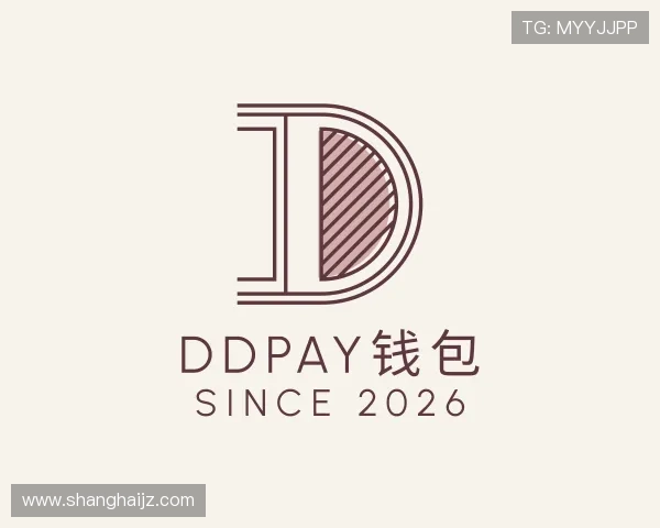 关于DDpay钱包